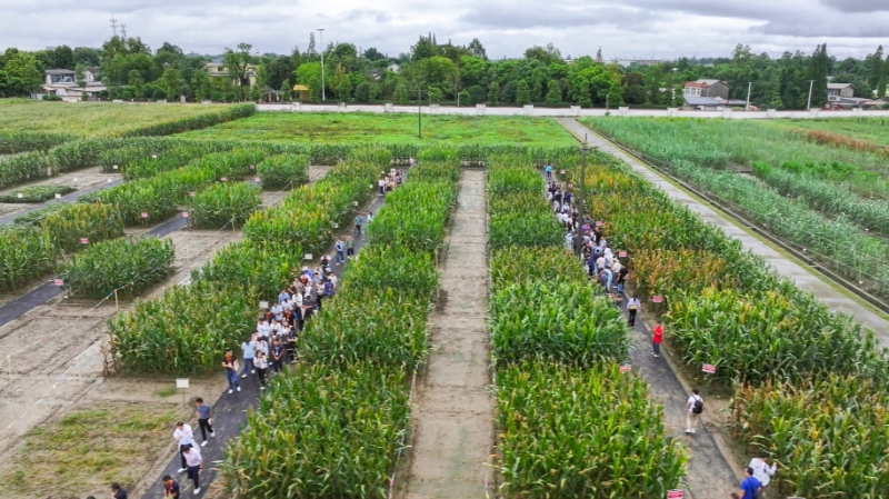 2025.9.1.3.jpg 2025.9.1.3.jpg